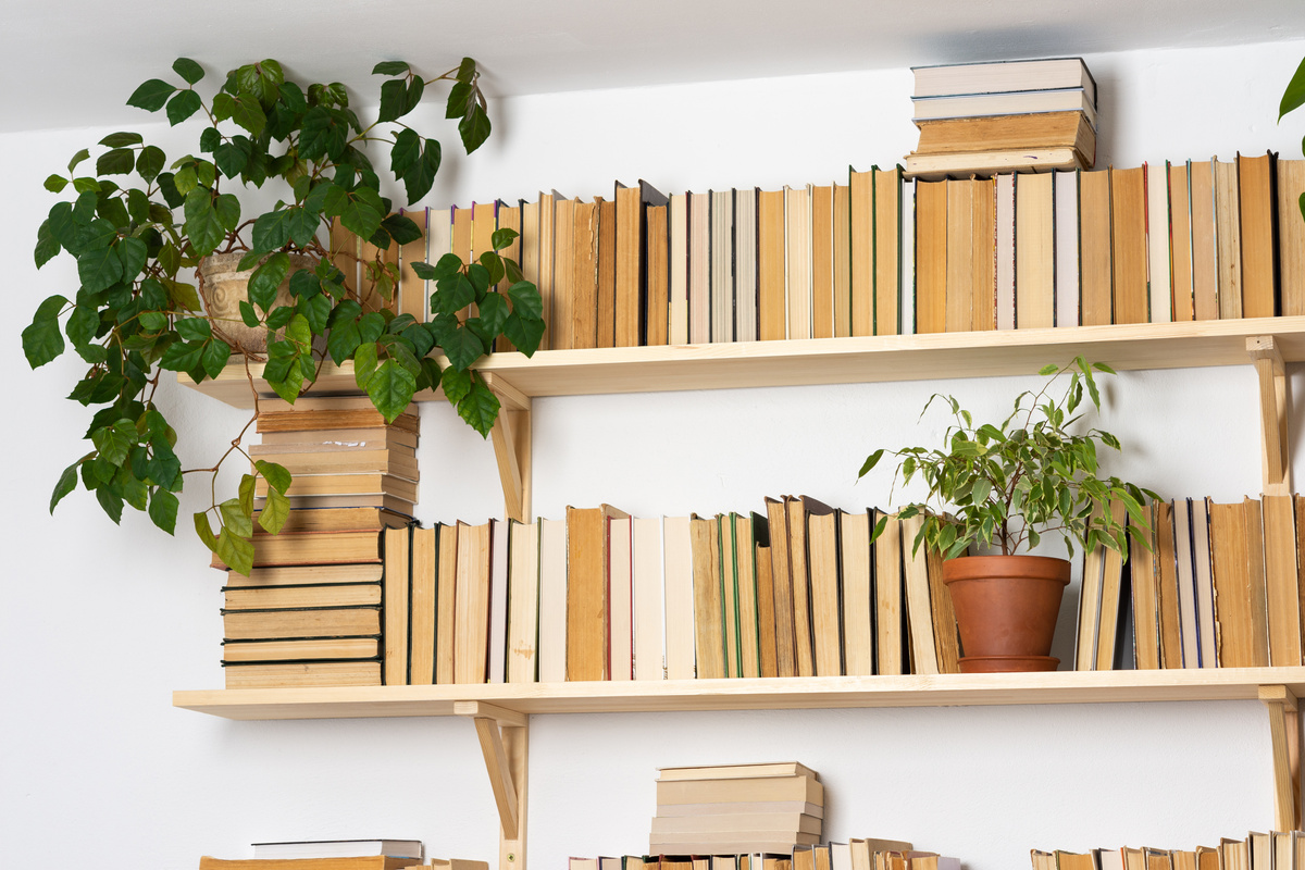 Indoor Flowers on the Bookshelves